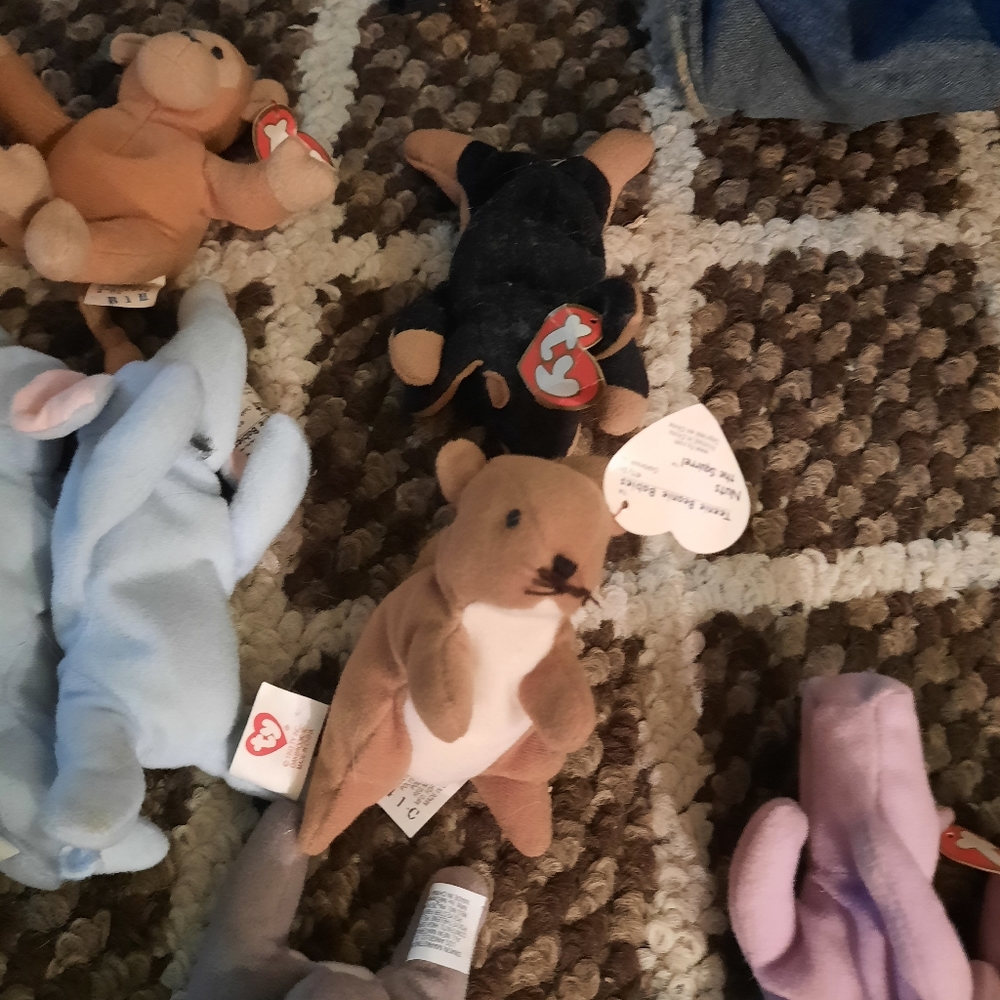 Mini beanie babies - Picture 6 of 9